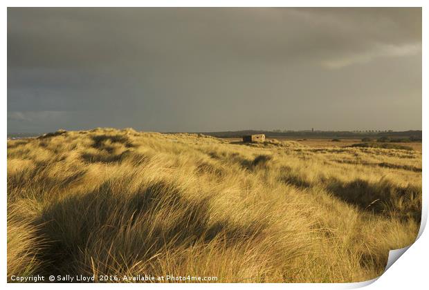 Inland from the dunes Horsey Print by Sally Lloyd