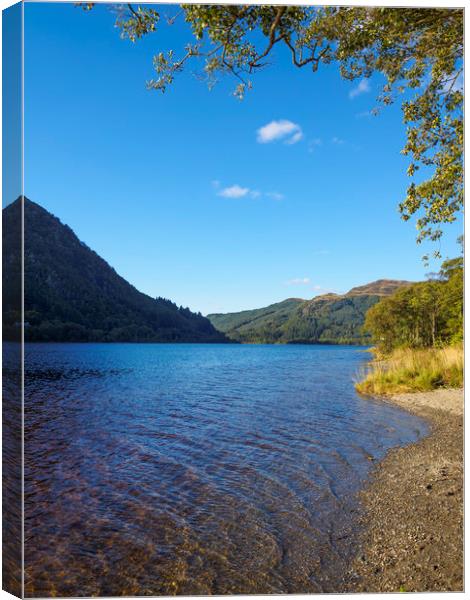 The banks of Loch Lubnaig Canvas Print by Tommy Dickson