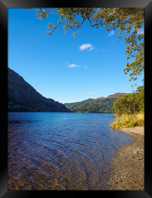 The banks of Loch Lubnaig Framed Print by Tommy Dickson
