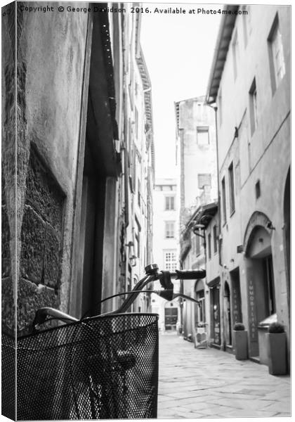 The Alley Canvas Print by George Davidson