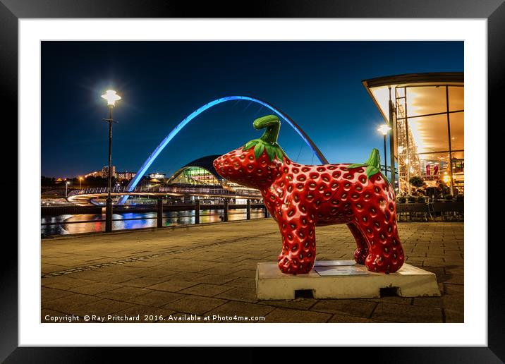 Strawberry Snow dog at Newcastle Framed Mounted Print by Ray Pritchard