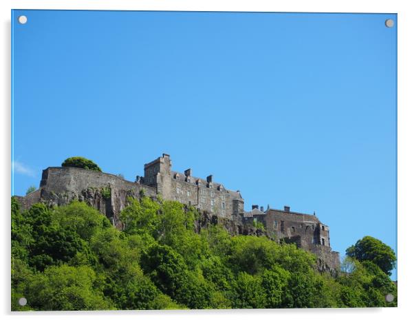 Stirling Castle from below.                        Acrylic by Tommy Dickson