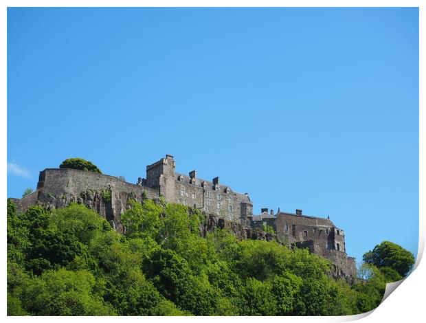 Stirling Castle from below.                        Print by Tommy Dickson