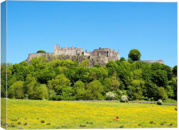 Stirling Castle and Scenic Scotland Canvas Print by Tommy Dickson