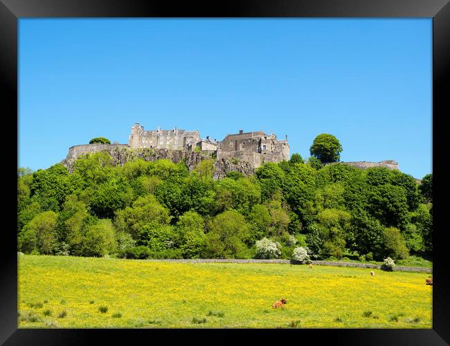 Stirling Castle and Scenic Scotland Framed Print by Tommy Dickson