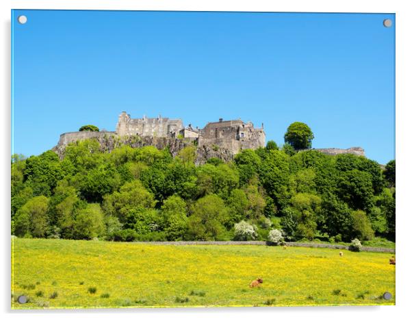 Stirling Castle and Scenic Scotland Acrylic by Tommy Dickson