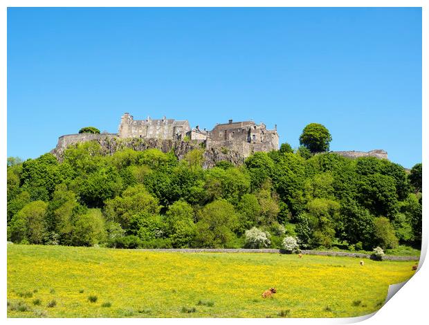 Stirling Castle and Scenic Scotland Print by Tommy Dickson