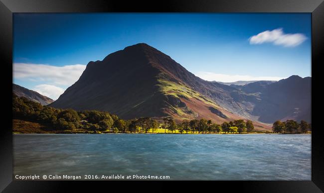 Buttermere Pines and Fleetwith Pike, Buttermere Framed Print by Colin Morgan