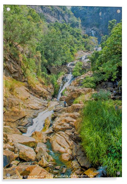Sri Lanka's Spellbinding Waterfall Scene Acrylic by Gilbert Hurree
