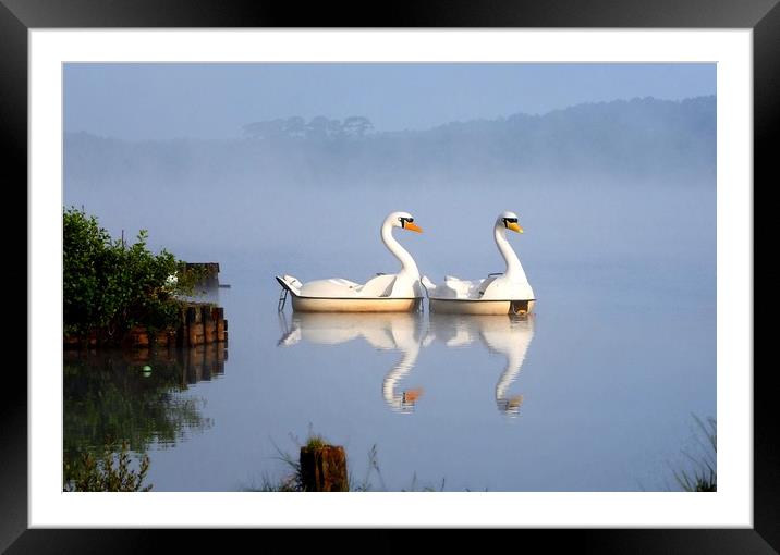 Not really swans in the mist        Framed Mounted Print by Peter Balfour
