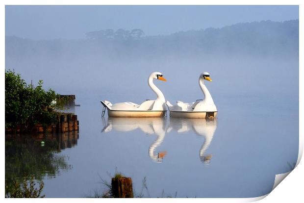 Not really swans in the mist        Print by Peter Balfour