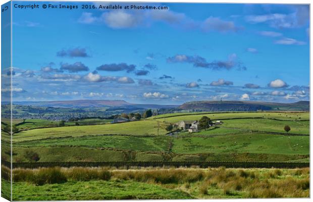 View of holcombe hill Canvas Print by Derrick Fox Lomax