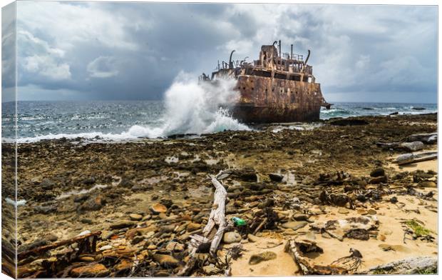 Shipwreck Canvas Print by Gail Johnson