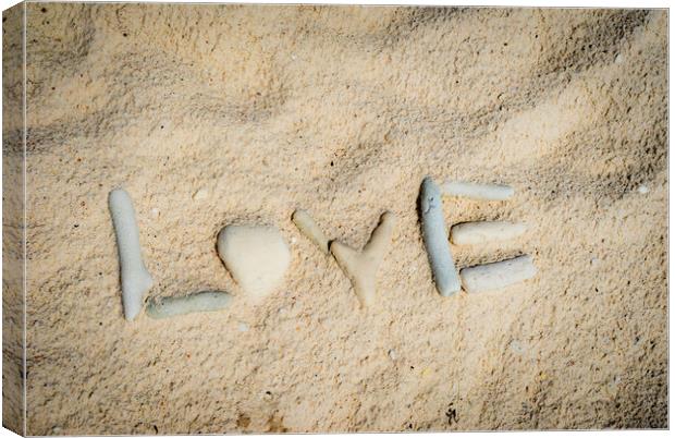 Love on the beach Canvas Print by Gail Johnson