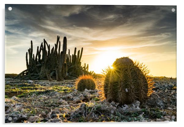cactus sunset Acrylic by Gail Johnson