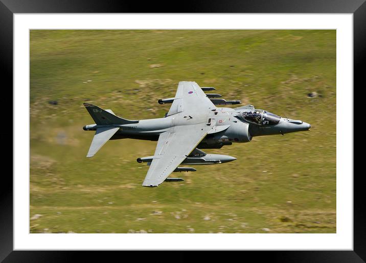 Harrier Jump Jet low down Framed Mounted Print by Oxon Images