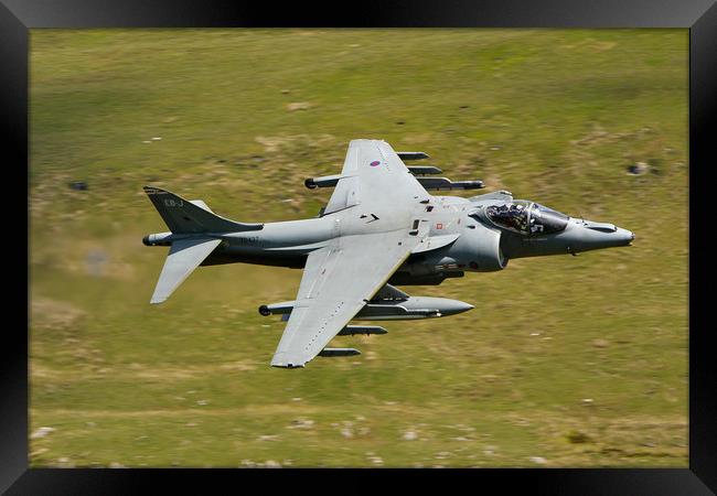 Harrier Jump Jet low down Framed Print by Oxon Images