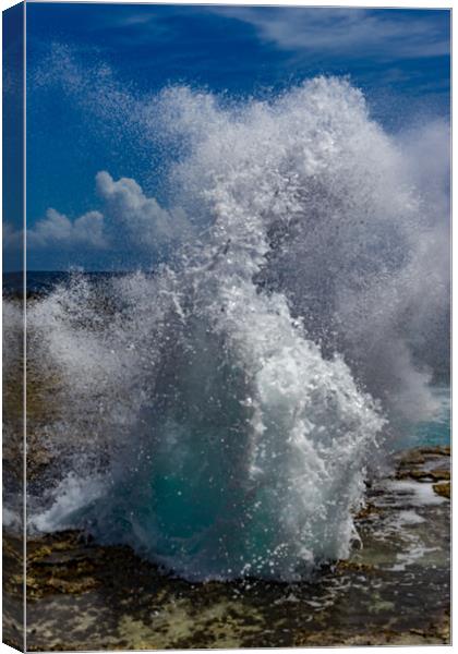   Shete boka national park - Curacao Views Canvas Print by Gail Johnson