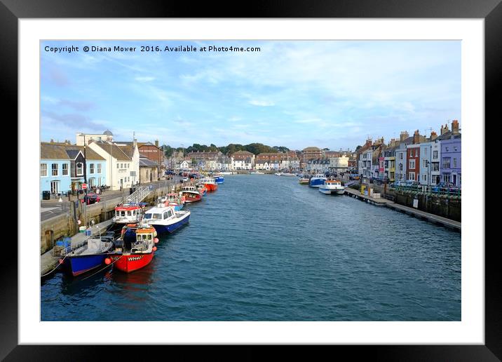 Weymouth Harbour Framed Mounted Print by Diana Mower