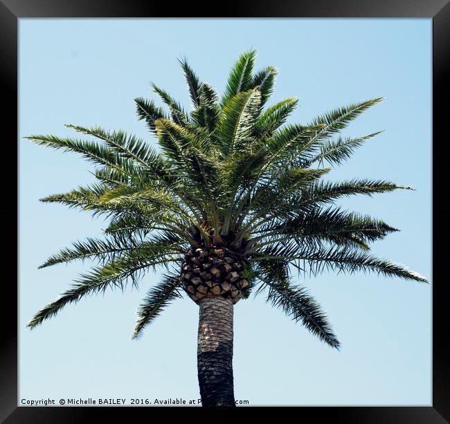 Palm Tree 2 Framed Print by Michelle BAILEY