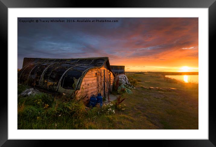 Lindisfarne Dawn  Framed Mounted Print by Tracey Whitefoot