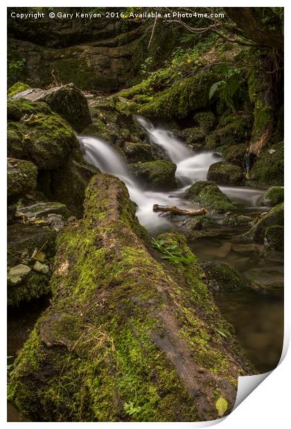 Flowing Water From Janet's Foss Print by Gary Kenyon