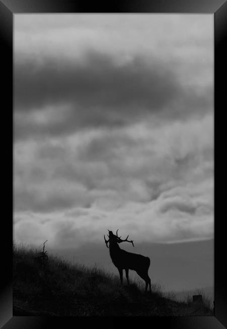 The Call of the North Framed Print by Macrae Images