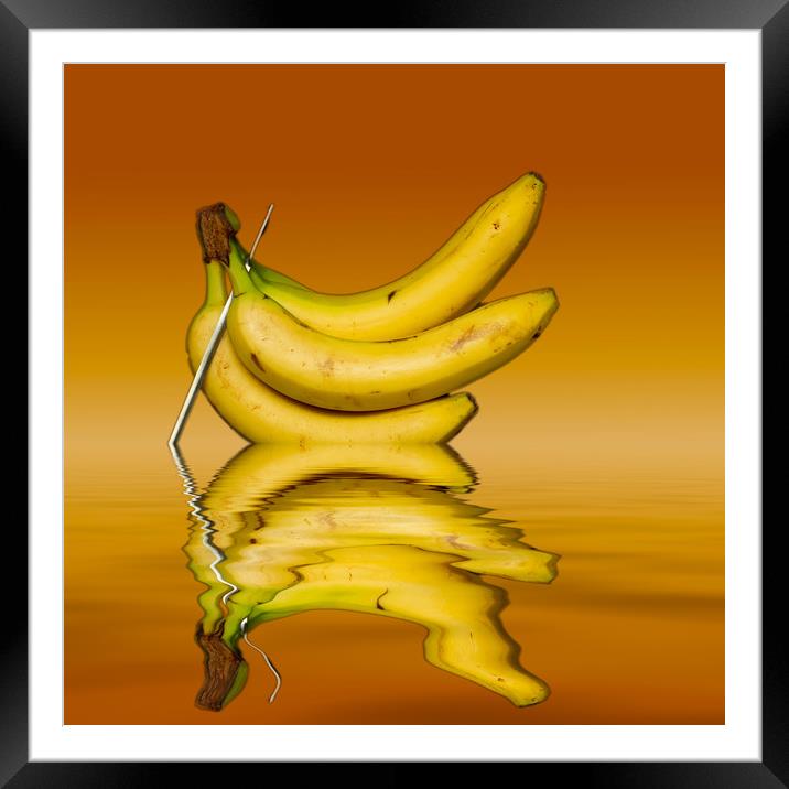 Ripe Yellow Bananas Framed Mounted Print by David French