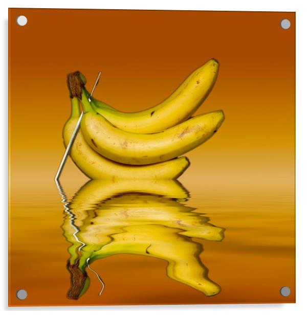 Ripe Yellow Bananas Acrylic by David French