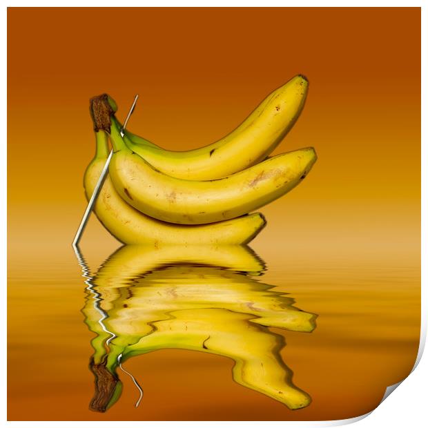 Ripe Yellow Bananas Print by David French
