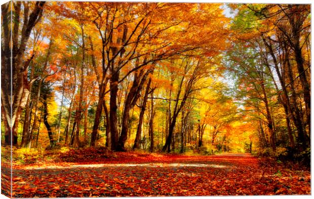 Autumn in Quebec Canvas Print by Colin Woods