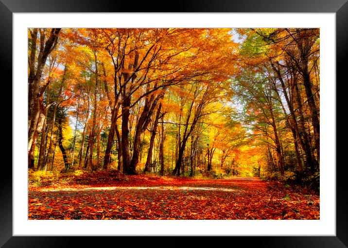 Autumn in Quebec Framed Mounted Print by Colin Woods