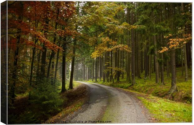 Road in autumn forest. South Bohemian region. Czec Canvas Print by Sergey Fedoskin
