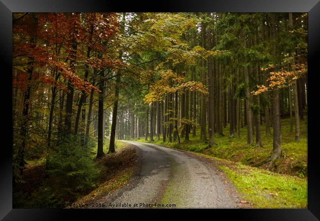 Road in autumn forest. South Bohemian region. Czec Framed Print by Sergey Fedoskin