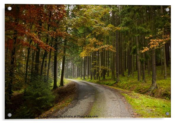 Road in autumn forest. South Bohemian region. Czec Acrylic by Sergey Fedoskin
