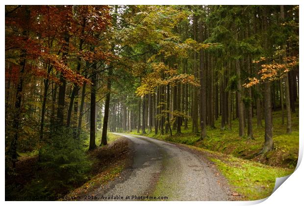 Road in autumn forest. South Bohemian region. Czec Print by Sergey Fedoskin