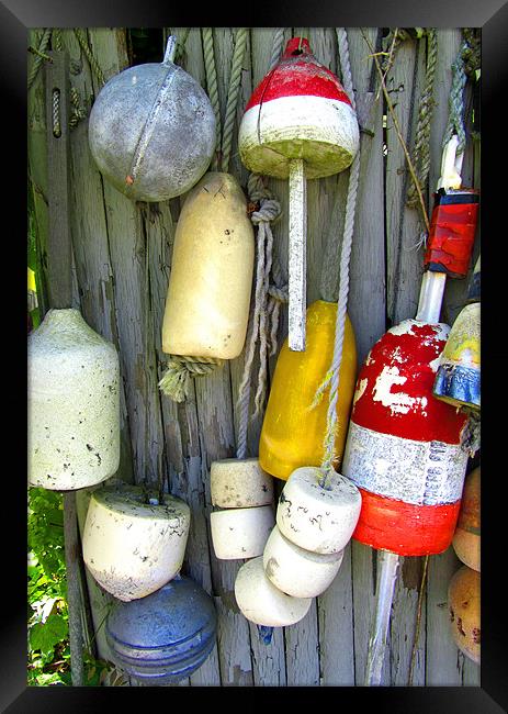Lobster Trap Buoys (2) Framed Print by Mark Sellers