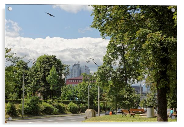 Sibiu view from ta base of the fortress wall Acrylic by Adrian Bud