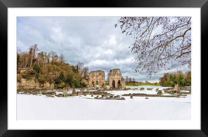 Roche Abbey Framed Mounted Print by Jason Thompson