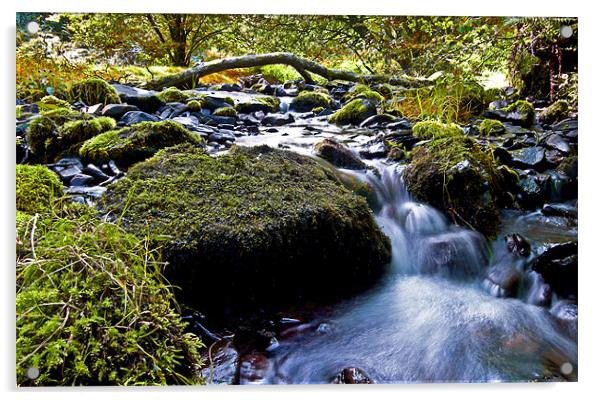 Exmoor Stream Acrylic by Rob Hawkins