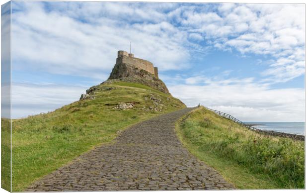 The road to Lindisfarne Castle.  Canvas Print by Mark Godden
