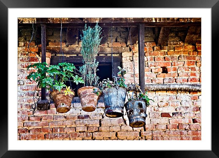 Hanging Gardens - Nepal Framed Mounted Print by David Lewins (LRPS)