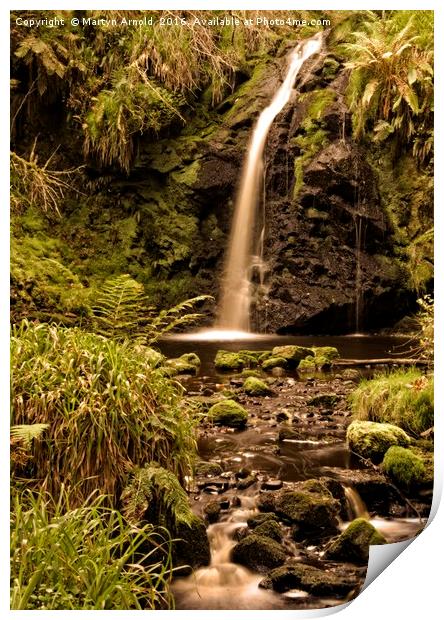 Forest Glade Waterfall Print by Martyn Arnold