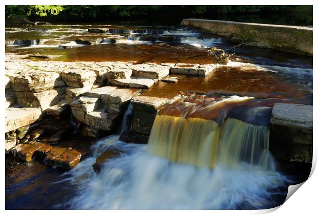 SWALES FALLS Print by andrew saxton