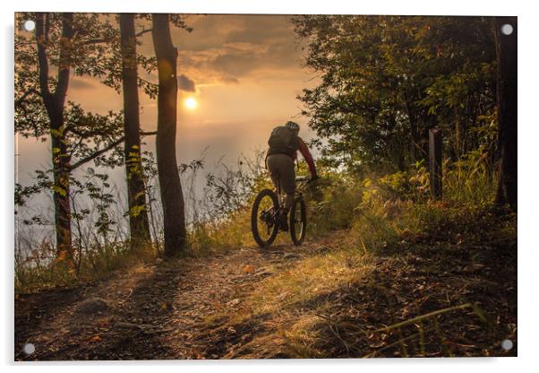 Mountain biking till the sunset Acrylic by Fabrizio Malisan
