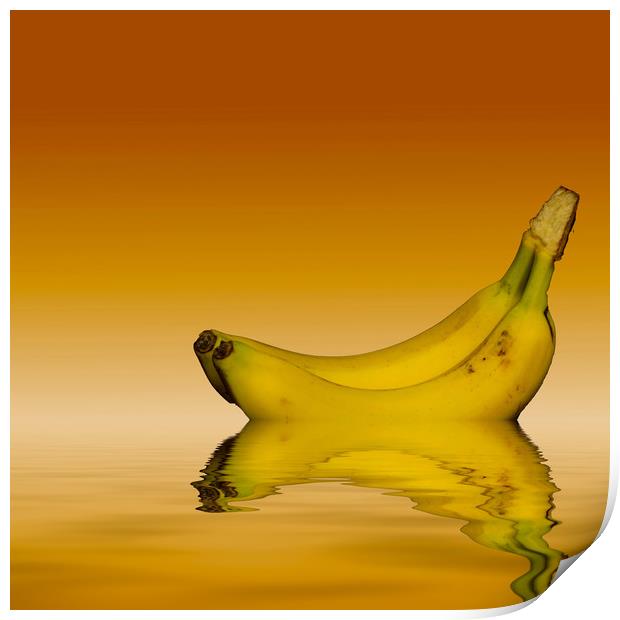 Ripe Yellow Bananas Print by David French