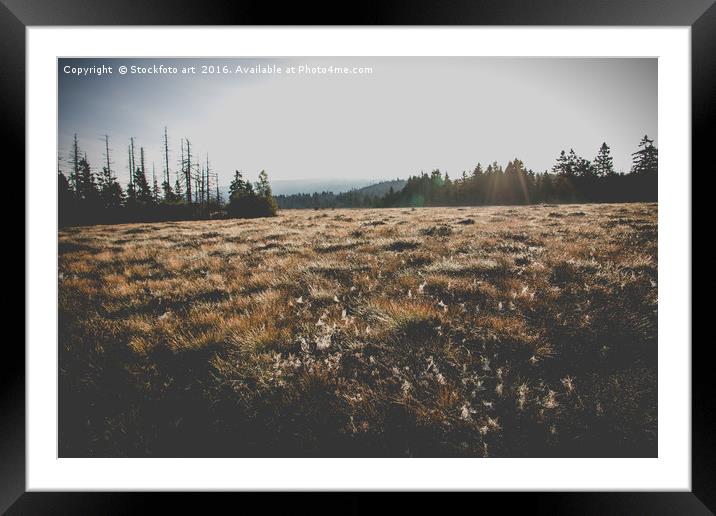 Marsh Landscape in Germany in the Morning at Fall. Framed Mounted Print by Stockfoto art