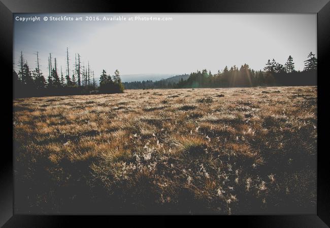 Marsh Landscape in Germany in the Morning at Fall. Framed Print by Stockfoto art