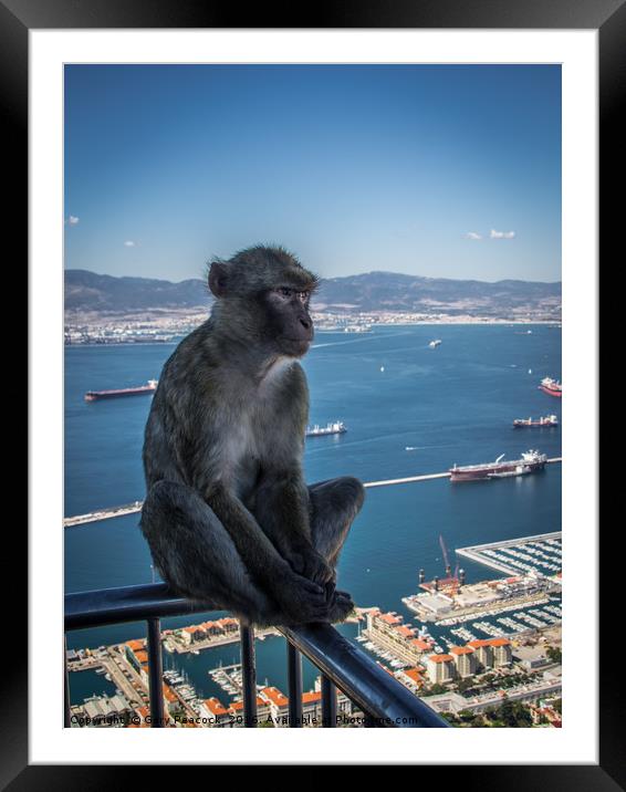 Feeling Blue In Gibraltar Framed Mounted Print by Gary Peacock