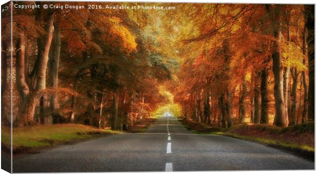 Autumn Drive Canvas Print by Craig Doogan